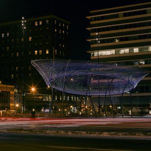 Cowles Commons At Night
