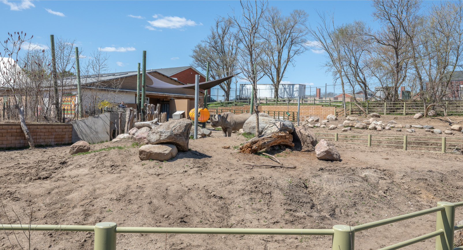 Rhino in enclosure landscaping at Blank Park Zoo in Des Moines, Iowa by Perficut