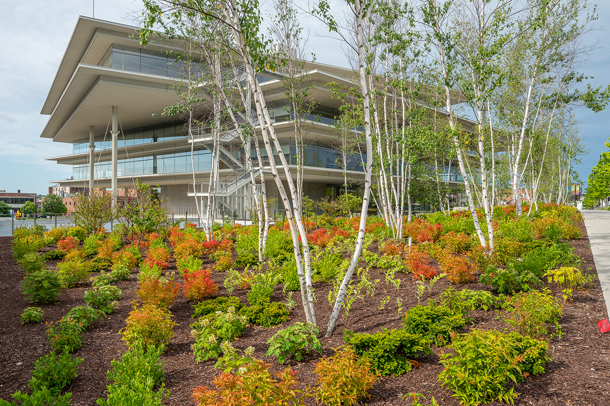 Landscaping Project At Krause Gateway Center by project7 design