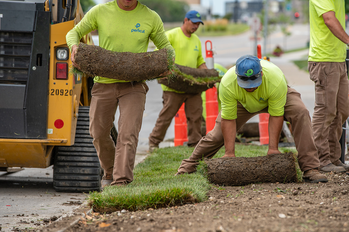 Landscape Construction Des Moines Iowa Perficut