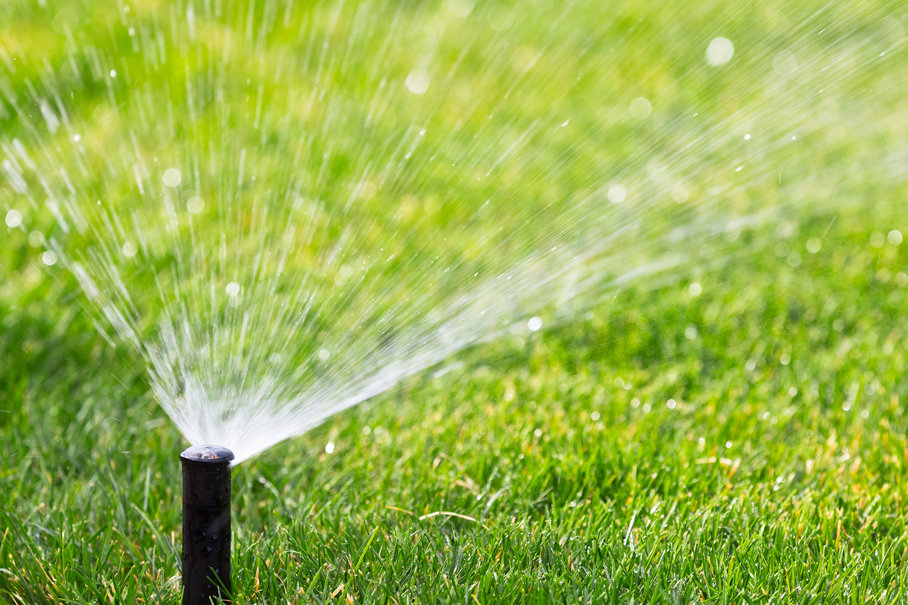 home lawn sprinkler system maintenance