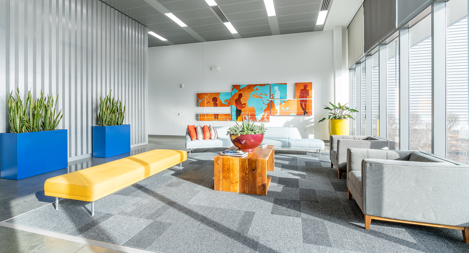 Indoor Plants for Offices, Lobbies, and Homes - Phoenix -Scottsdale