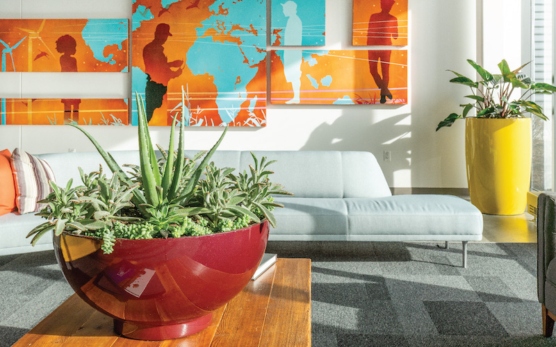 Indoor planters in sunlit office