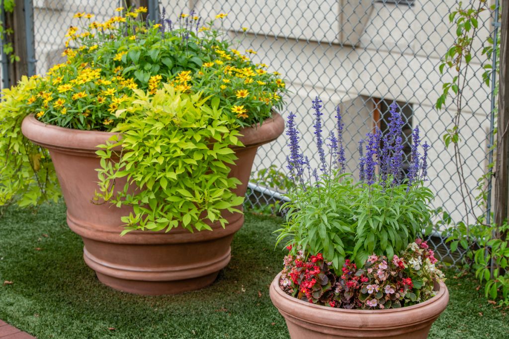 Two planters filled with seasonal yellow, purple and pink flowers