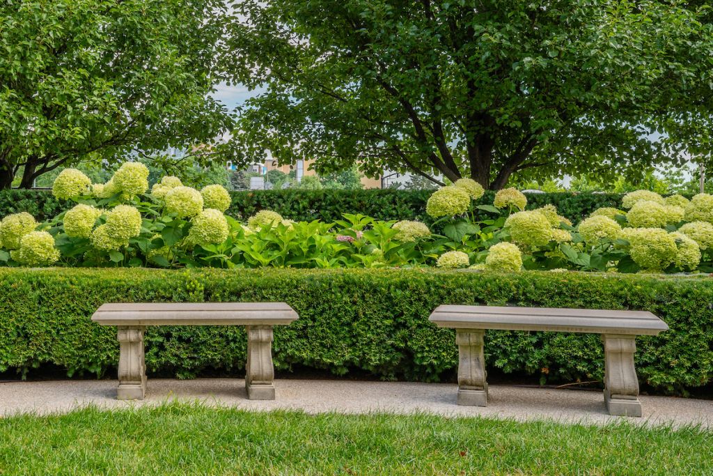 Image of two stone benches in front of a hedge and lush bushes