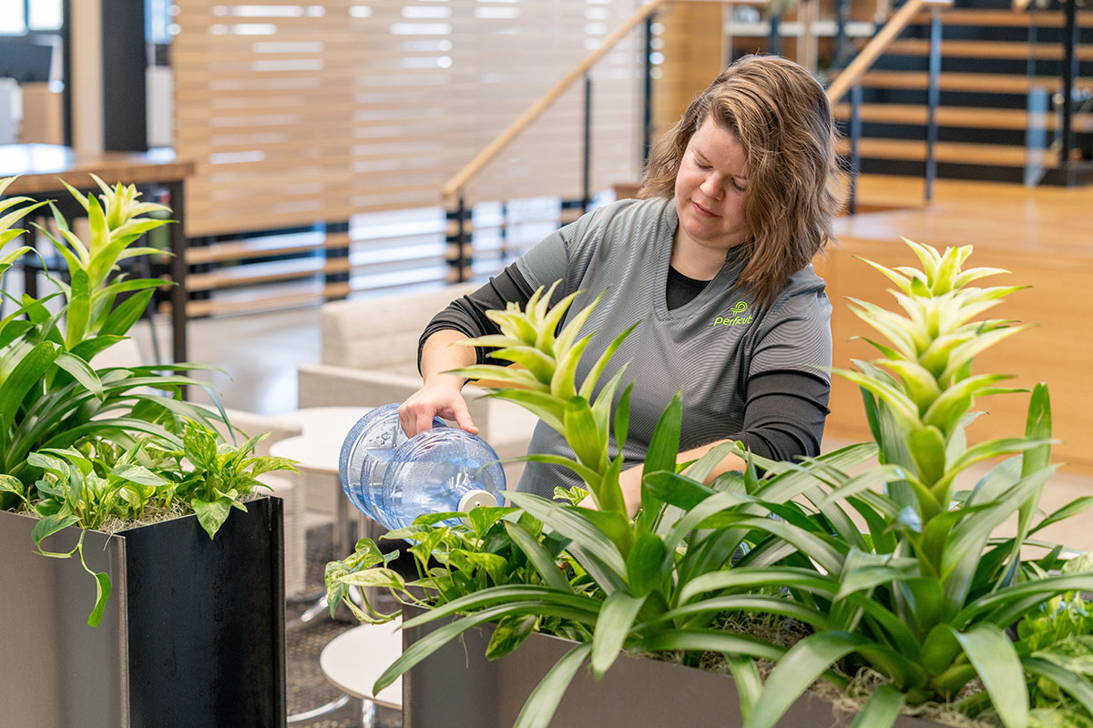 team member watering indoor planters