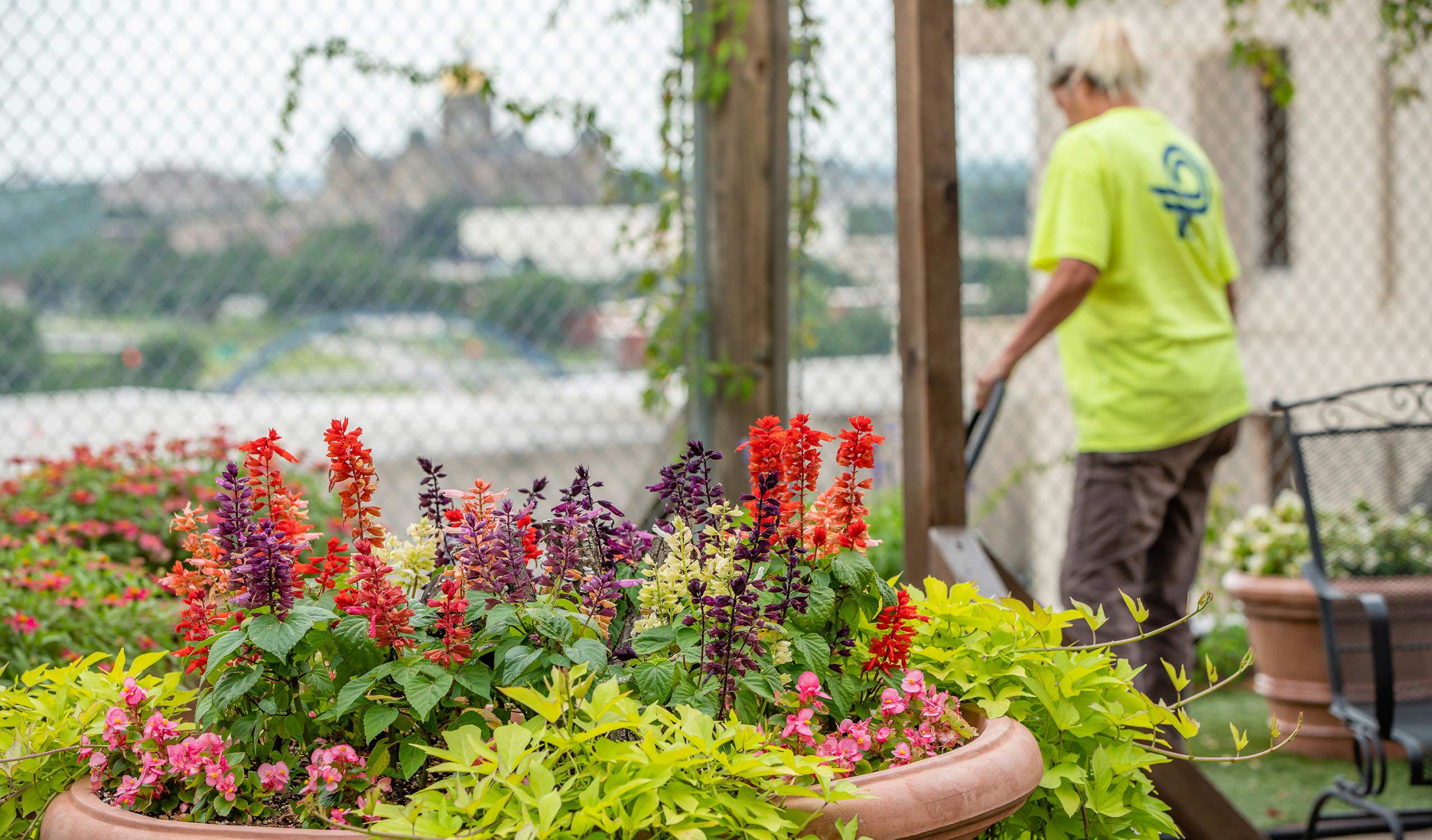 Perficut | Site Management, Landscaping Company | Des Moines, IA