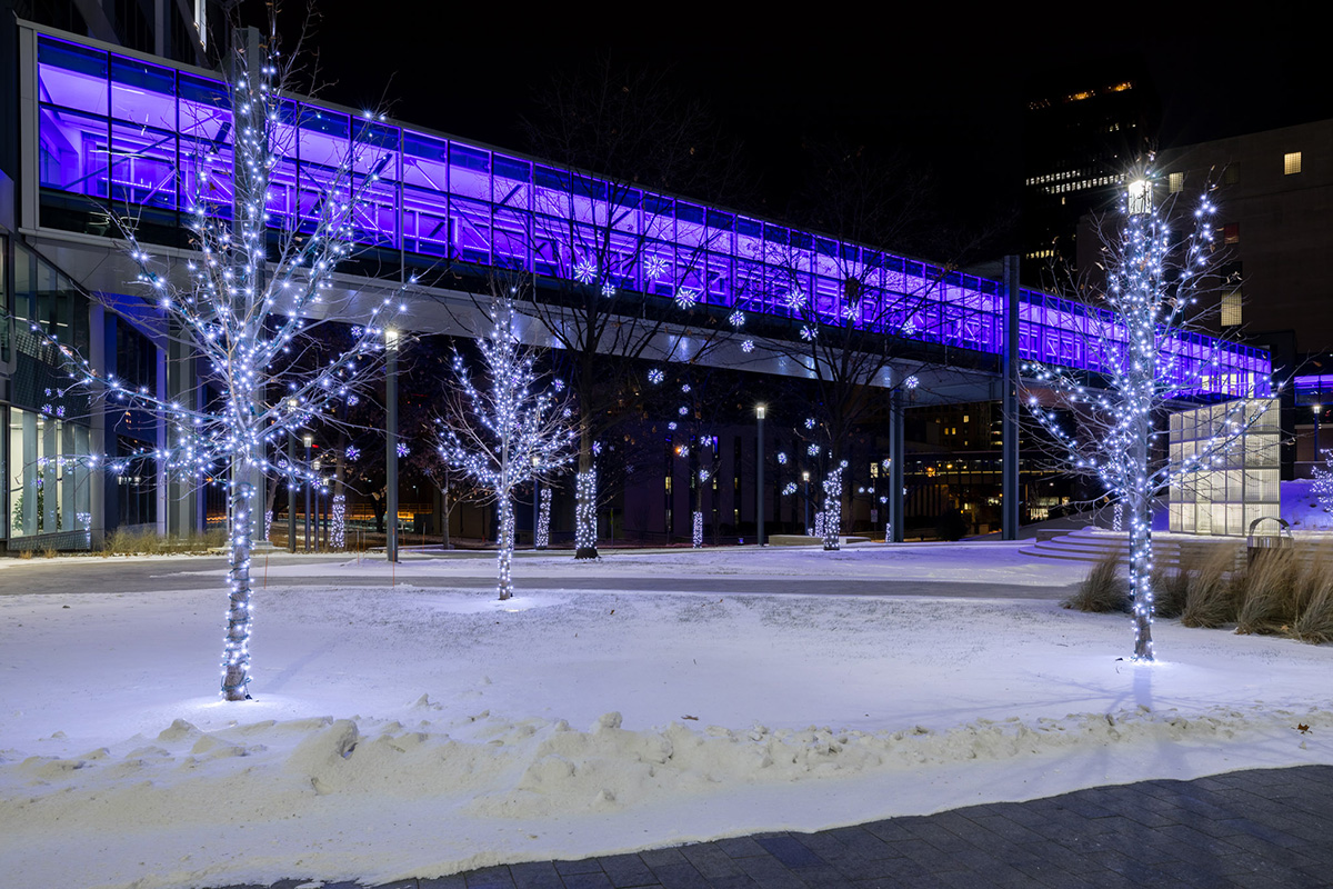 snowy scene with trees lit up