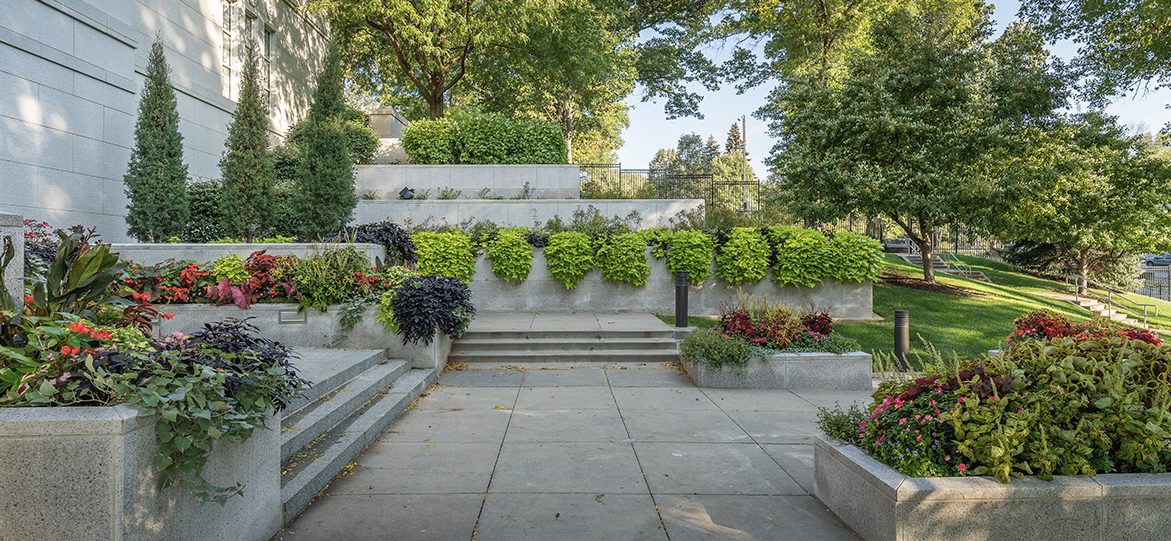 Lush, green landscape design.