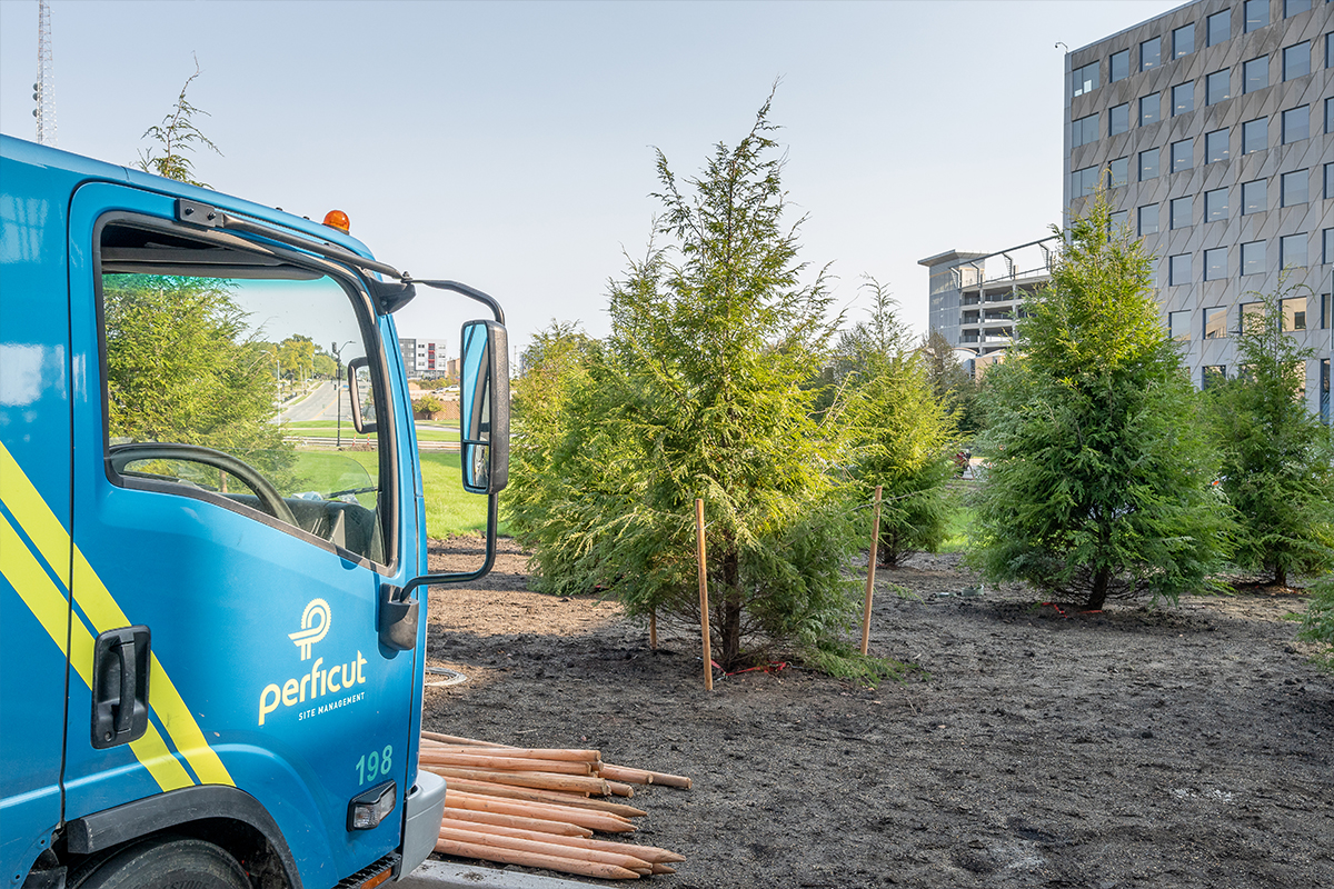Perficut truck in forground in front of a freshly planted tree