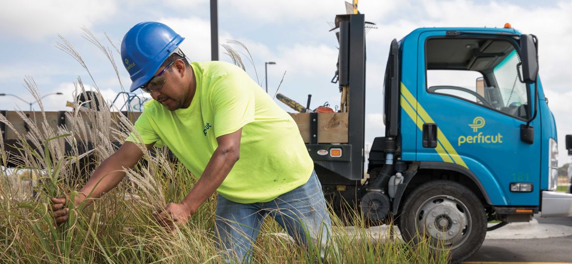 Perficut team member with blue hard hat on works in landscape in front of blue flatbed truck