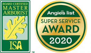 Angies List Super Service Award 2020 Certified Arborist Logo